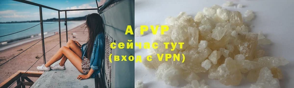 амф Зеленокумск